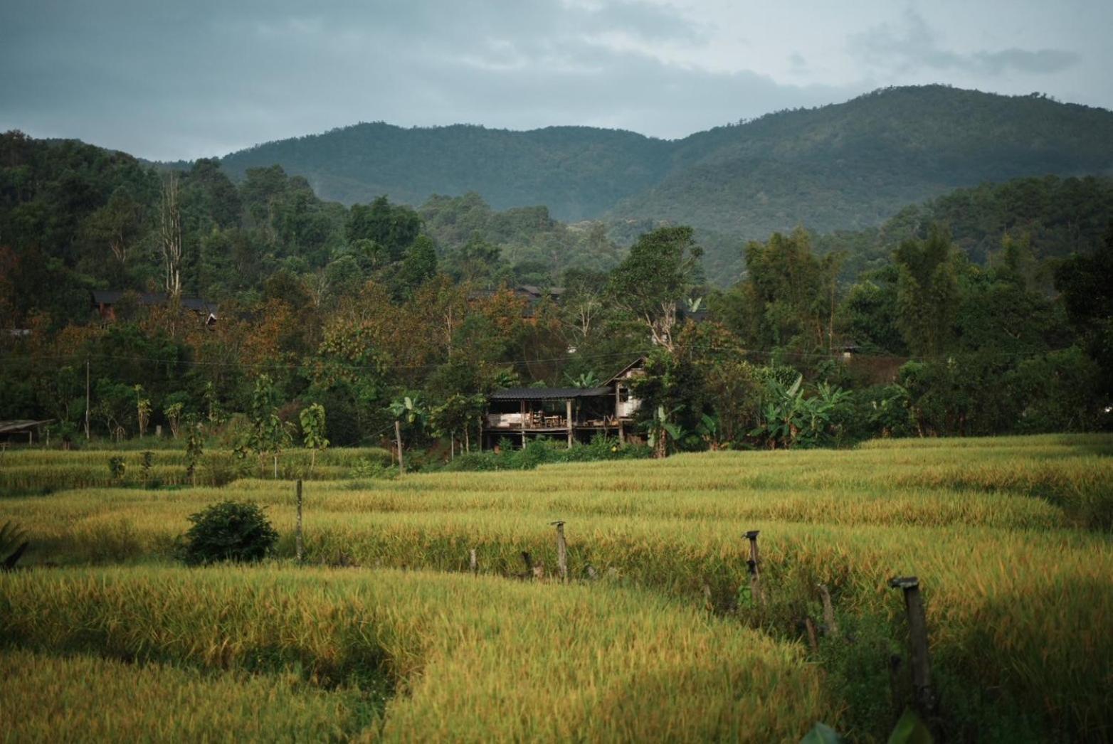 Por Joi ,Por Dee House Hostel Chiang Mai Exterior photo
